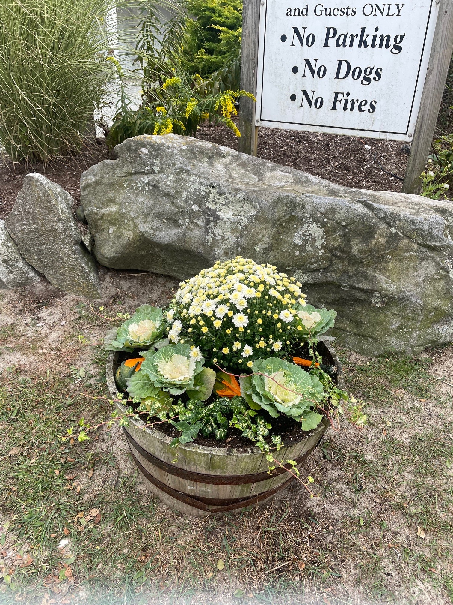 Beautification Project Kelly Beach Entrance by Linda Kaufman